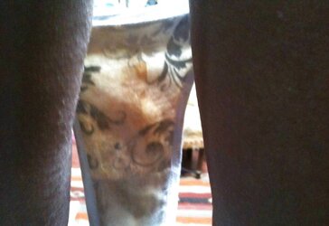 The best mummy in the world - furry, italian