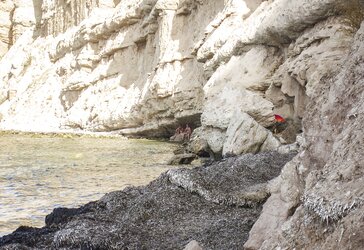 Platja de la Solsida (Isla de Altea, Alicante, Spain)