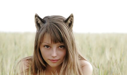 Kittens and Bunny 12!