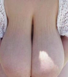 Webtastic Exclusive: Massive Miss D. - Vol.