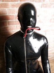 Collared 28!
