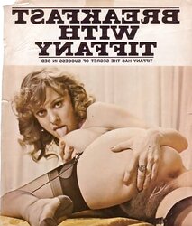 Vintage Furry Nylon Honies