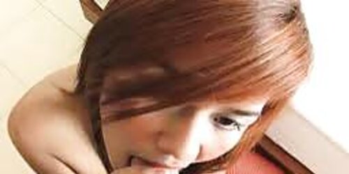 Super-Sexy Asian Girlz Suckin