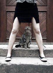 (TTL) the freaky and wonderfull