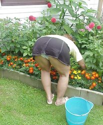 Fesses madame