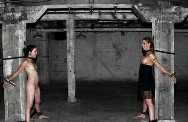 Domination & Submission (ammyammy)