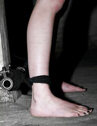 Domination & Submission (ammyammy)