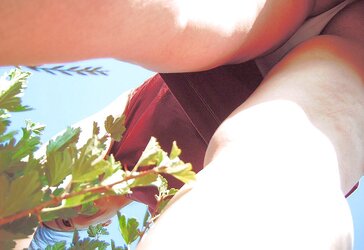 Sangha in the garden