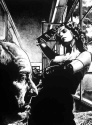 Drawn Ero and Porn Art 26 - Jean-Claude Claeys