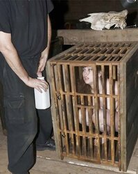Bondage & Discipline catch in cell