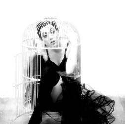 Bondage & Discipline catch in cell