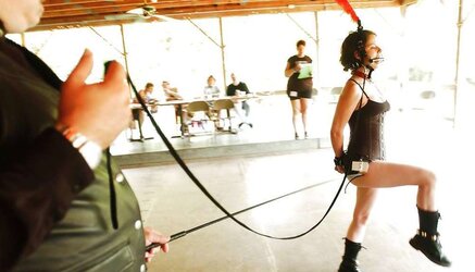 Well Taught Ponygirls
