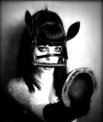 Well Taught Ponygirls