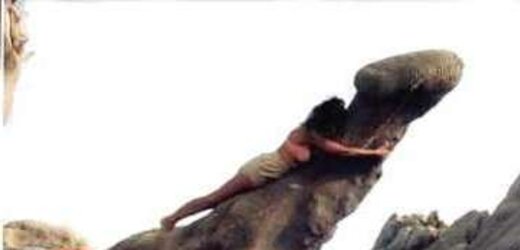Funny hump photos