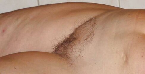 Blondie Mature Blend (WebFounding)