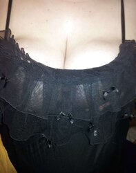 Splendid Underwear