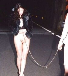 Petgirl in the city