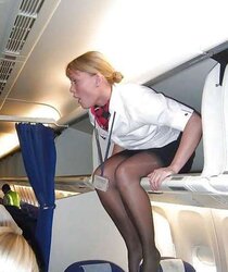 Flight Attendant