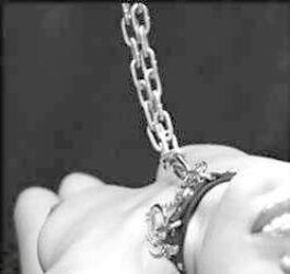 Collared 22!