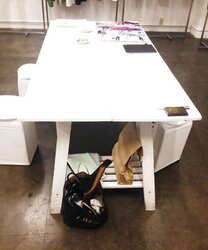 The style exhibition