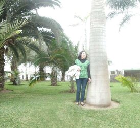 Facebook nimia leon torres