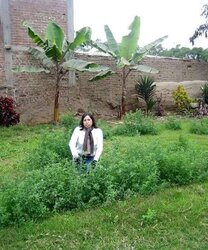 Facebook nimia leon torres