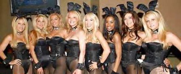 Bunny Honies!