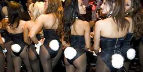 Bunny Honies!