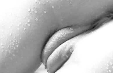 Ebony and White