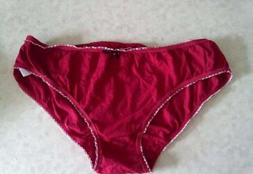 My mothers undergarments