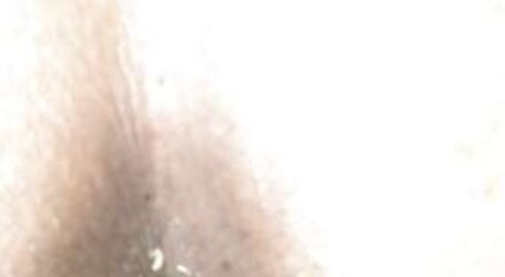 Native American PLUMPER part