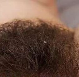 Unshaved Girls