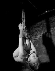 DOMINATION & SUBMISSION IN DARK-HUED