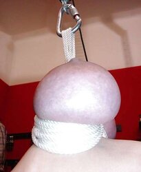 Some cute DOMINATION & SUBMISSION