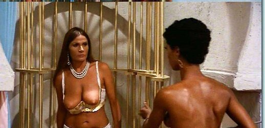 USCHI DIGARD 15 August