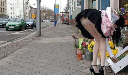 Fledgling Upskirt Erotica five By twistedworlds