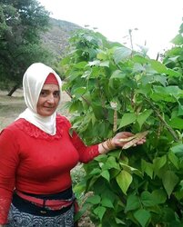 Turbanli hijab arab turkish afet olgun
