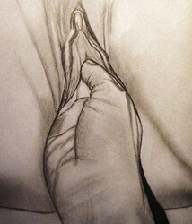 my porn drawing