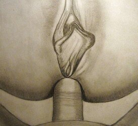 my porn drawing