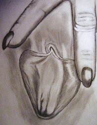 my porn drawing