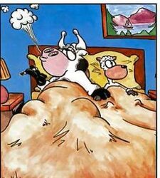 Adult funny