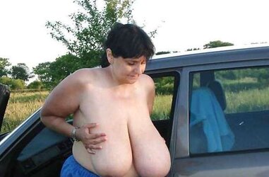 Udders - immense