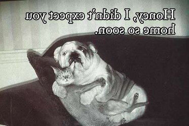 Thoughts and smiles for today