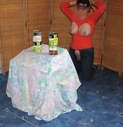 CHIENNE CANDICE CONTRAINTE