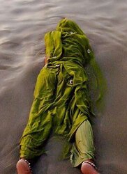 Astounding india