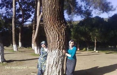 Hijab turkish news