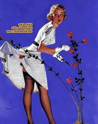 Vintage Pinup Dolls Fresh