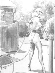 The Art Work of John Willie