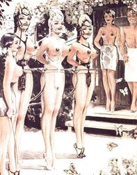 The Art Work of John Willie