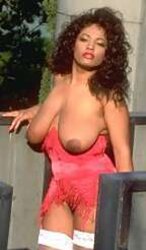 PERSIA, 1990s dark-hued queen (a.k.a. VENUS) (1)